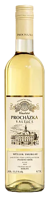 Müller thurgau - Pozdní sběr 2025