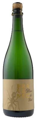 Sekt kvašený v lahvi