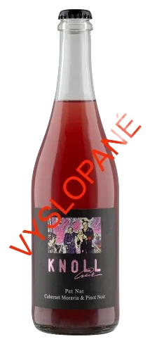 PetNat cabernet / Pinot 2023