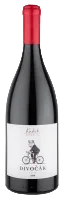 Cuvée Divočák