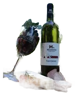 Sauvignon