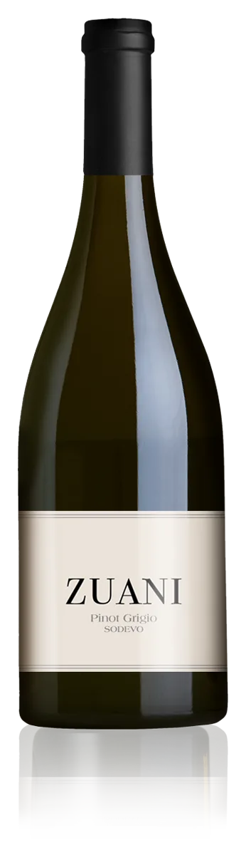Pinot Grigio sodevo