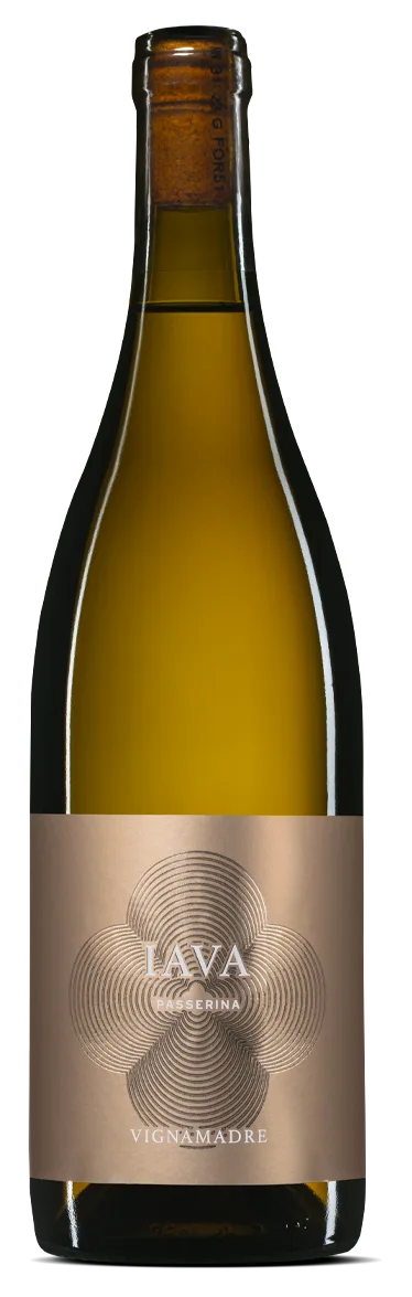 Iava Passerina