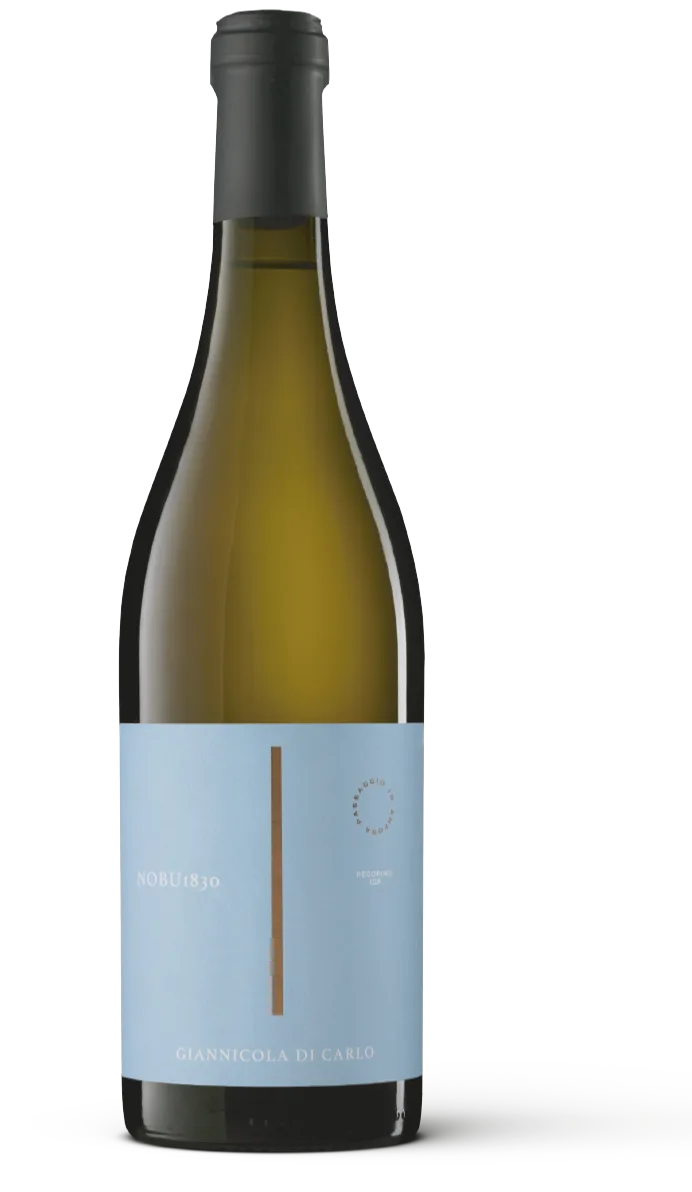 Nobu 1830 Pecorino IGP