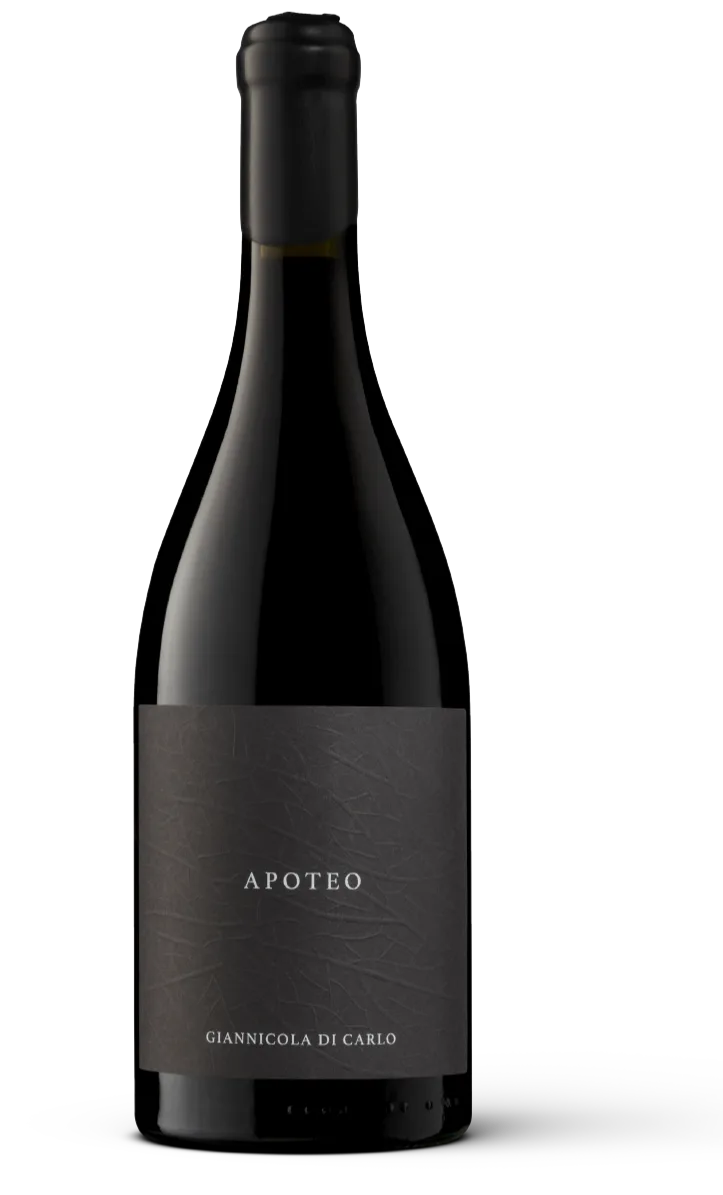 Apoteo Rosso