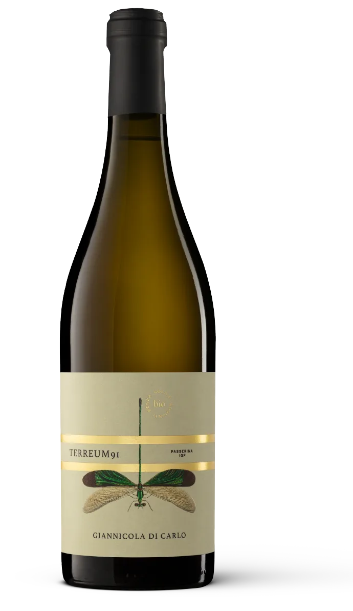 Terreum 91 Passerina