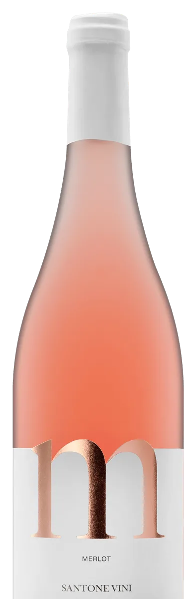 Merlot I.G.T. Colli Aprutini