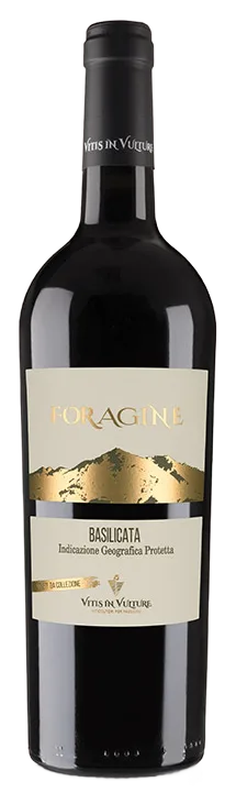 Foragine