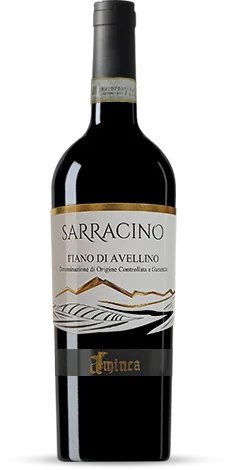 Sarracino