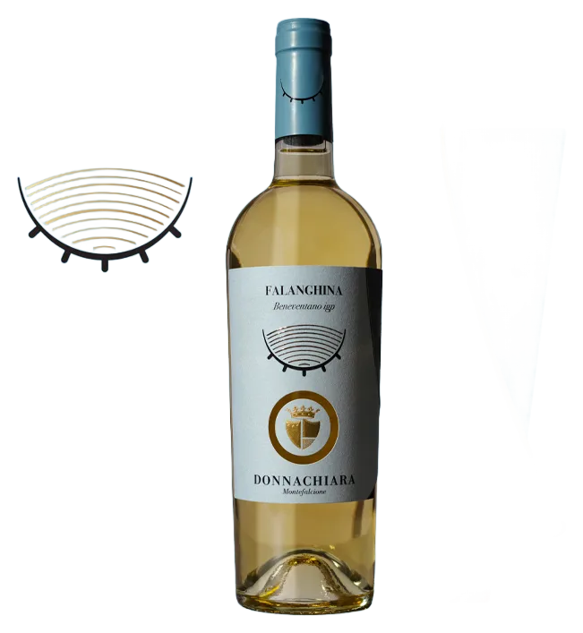 Beneventano Falanghina IGT