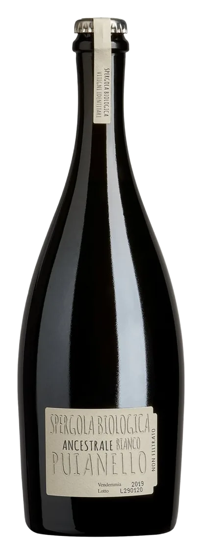 Ancestrale Bianco