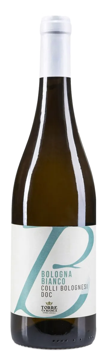 Bologna Bianco