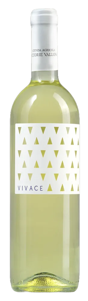 Vivace