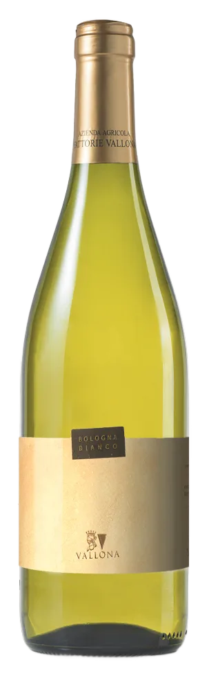 Bologna Bianco