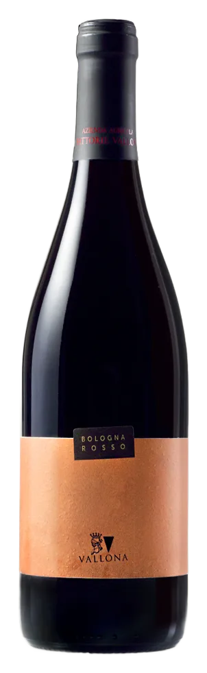 Bologna Rosso