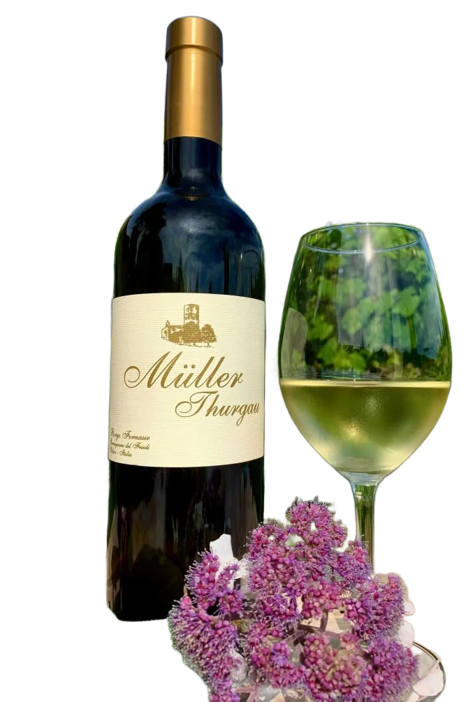 Müller thurgau