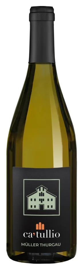 MULLER THURGAU