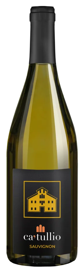 SAUVIGNON