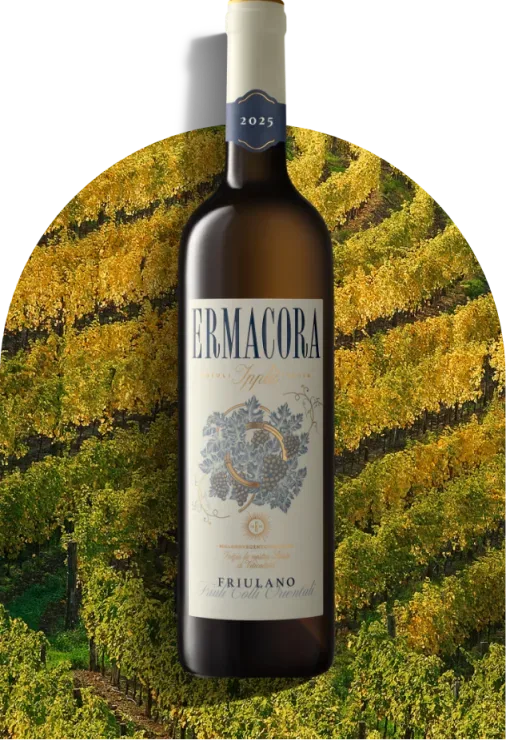 Friulano