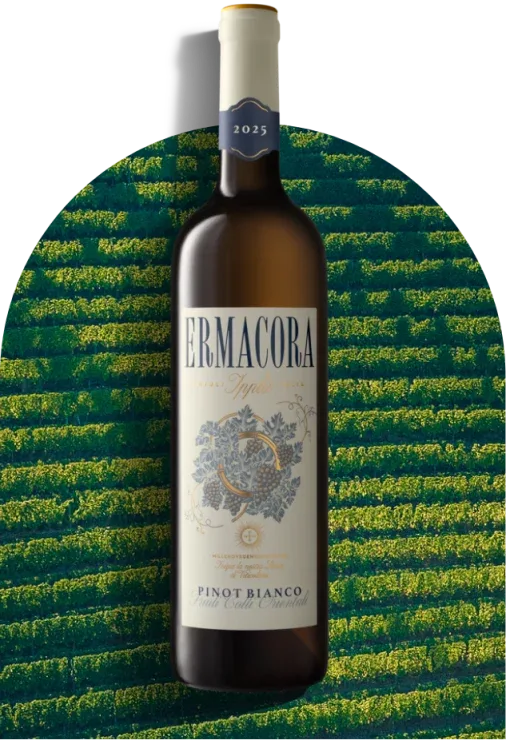 Pinot Bianco