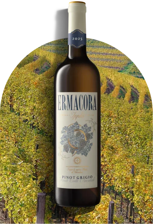 Pinot Grigio