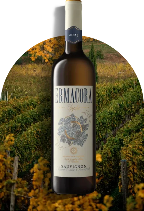 Sauvignon