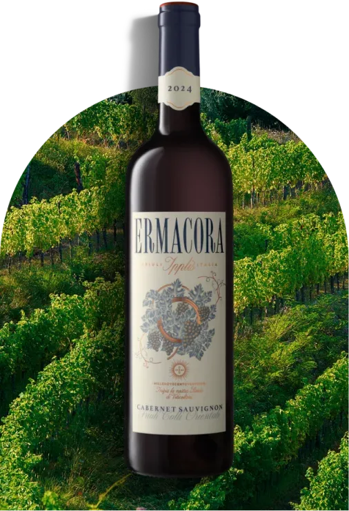Cabernet Sauvignon