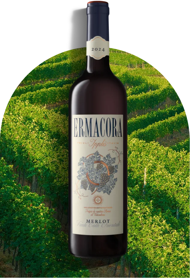 Merlot