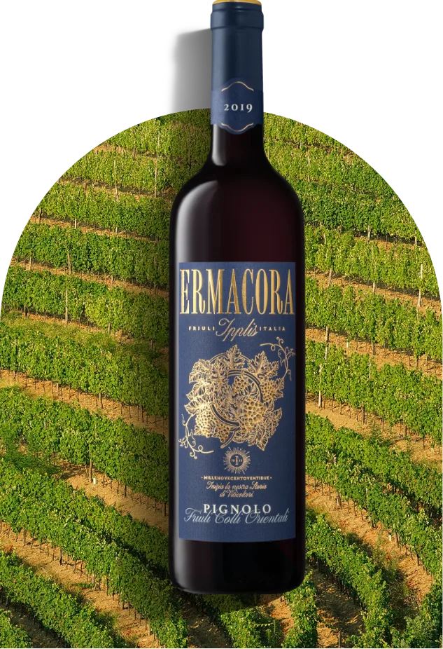 Pignolo