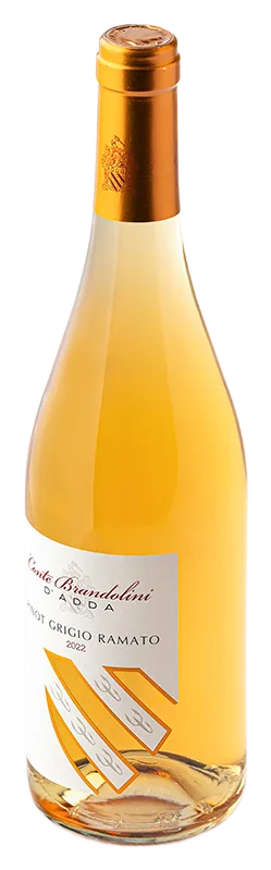 Pinot Grigio Ramato