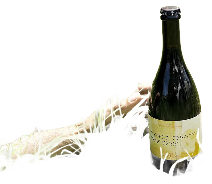 Testamozza Piceno DOC Sangiovese