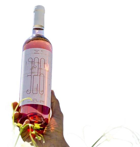 326 Marche IGT Rosato