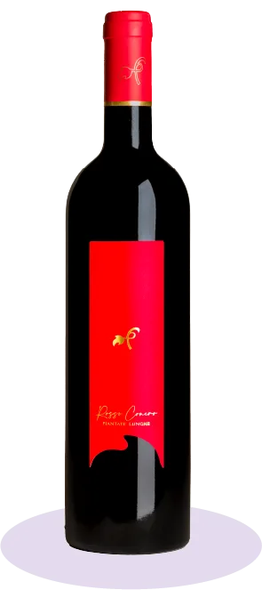 Rosso Conero DOC