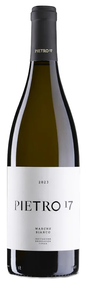 Marche Bianco IGT 2023 Orange Wine