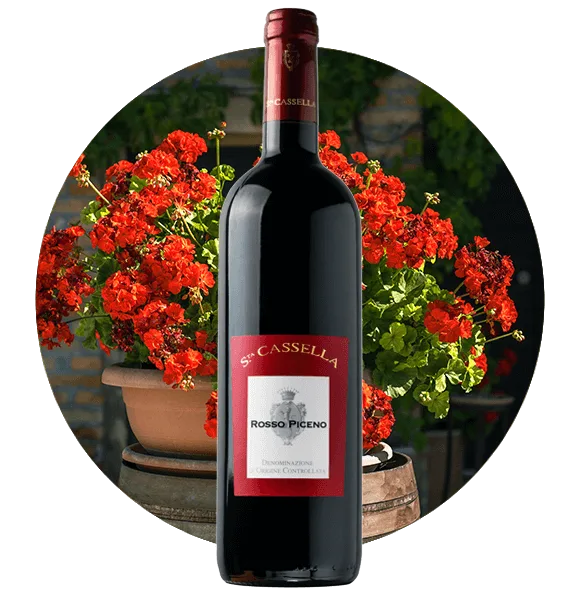 Rosso Piceno