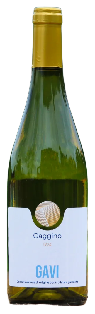 Gavi