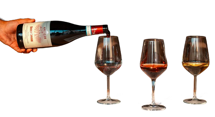 Rosso di Cipponeri Nero D’Avola
