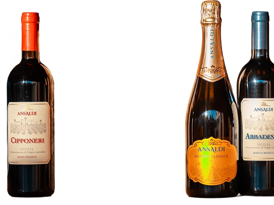 Cipponeri Rosso Riserva