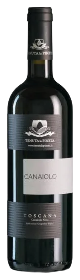 Canaiolo in purezza