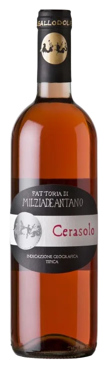 Cerasolo