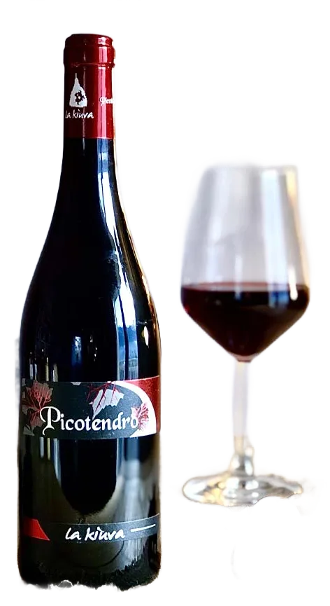 Nebbiolo “Picotendro”
