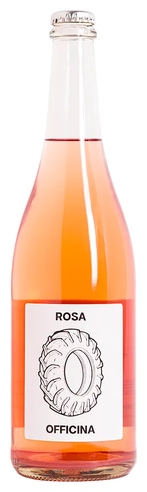 Rosa Officina Frizzante