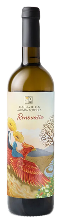 Renovatio