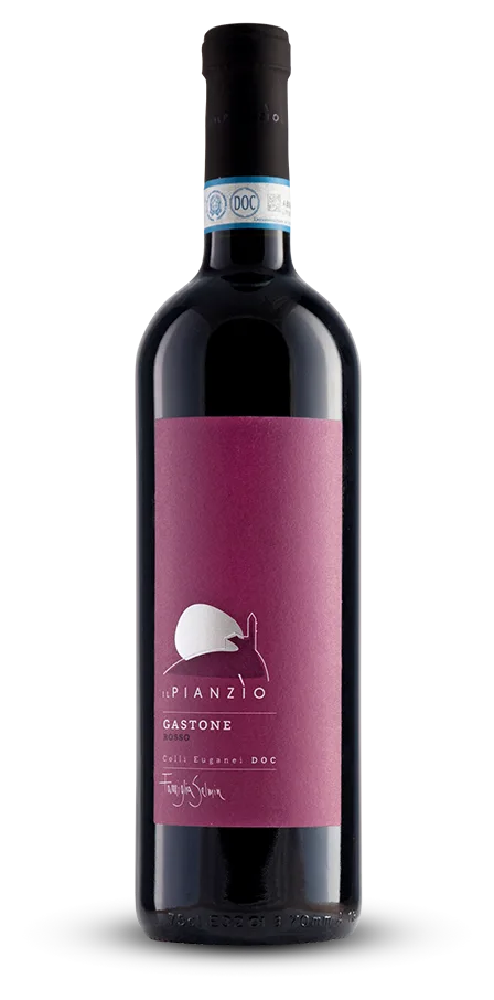 COLLI EUGANEI DOC - ROSSO "Gastone"