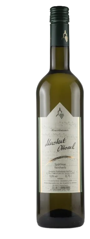 2025er Rheinhessen Muskat Ottonel Kabinett feinherb 0,75l