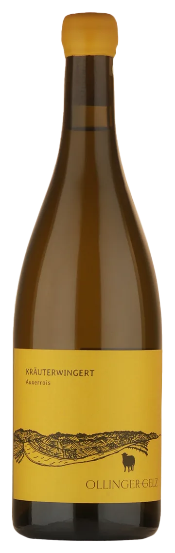 KRÄUTERWINGERT Auxerrois