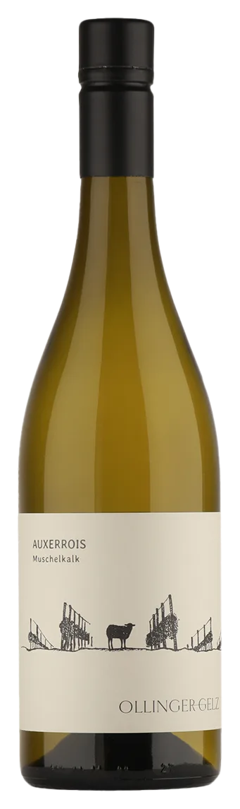 Auxerrois Muschelkalk trocken