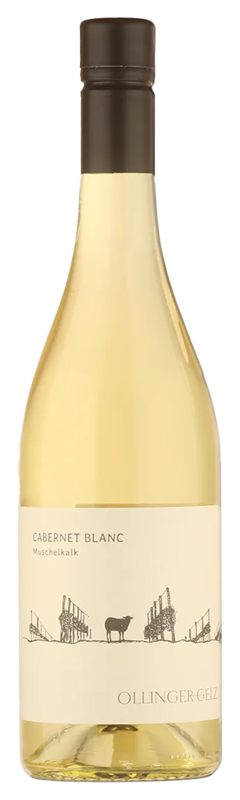 Cabernet Blanc Muschelkalk trocken