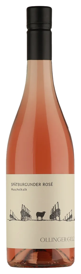 Spätburgunder Muschelkalk Rosé trocken