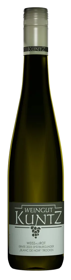 2024 "WEIßausROT" --- SPÄTBURGUNDER BLANC DE NOIR